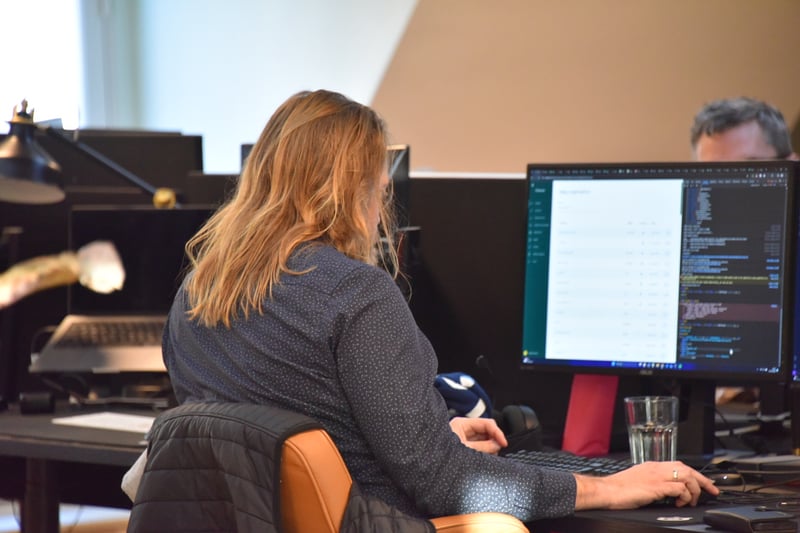 Apply-konsulent ved computer på Havnegade. IT-udvikling og samarbejde med den offentlige sektor